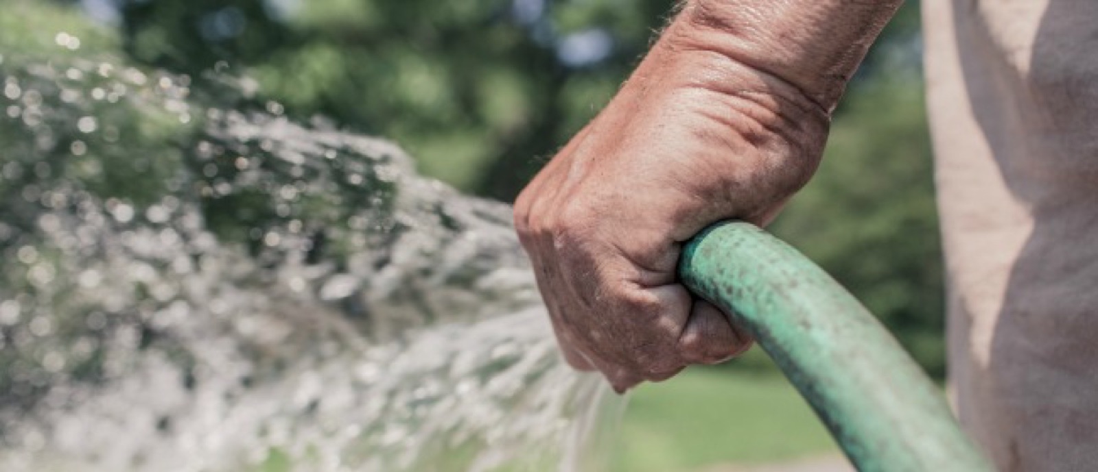 Resident hand-watering a garden with a hose